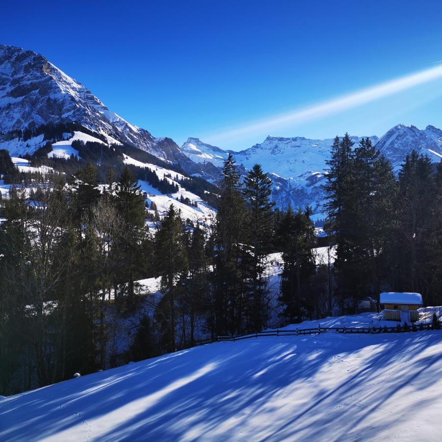 Ferienwohnung Crea Adelboden Kültér fotó